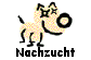 Junghunde zum Verkauf