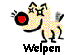  Welpen 